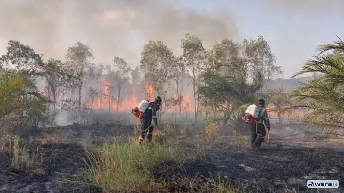 Petugas berupaya melakukan pemadaman Karhutla